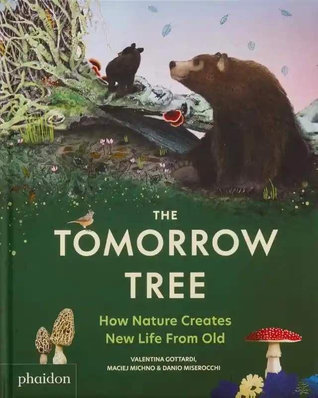 Weekendaanbieding The Tomorrow Tree – How Nature Creates New Life From Old