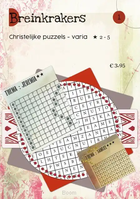 Flitsaanbieding Breinkrakers