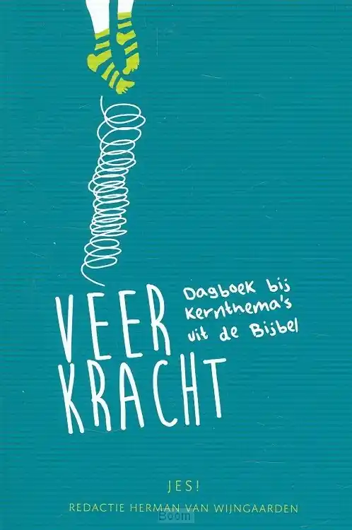 Gereduceerde Prijs Veerkracht
