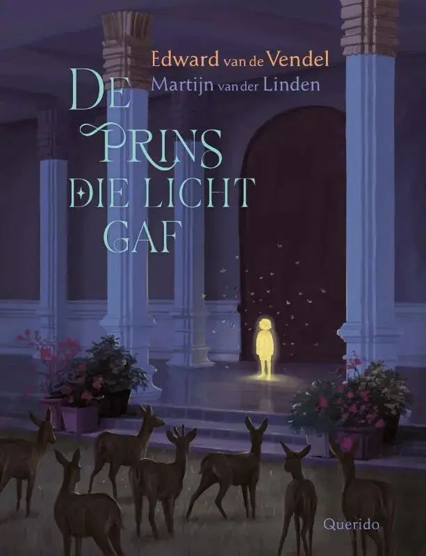 Direct Beschikbaar De prins die licht gaf