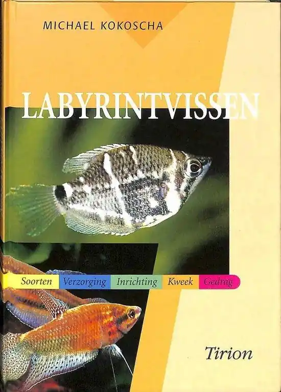 Dagaanbieding Labyrintvissen - M. Kokoscha