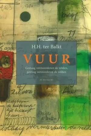 Vuur - H.H. ter Balkt Goedkoop
