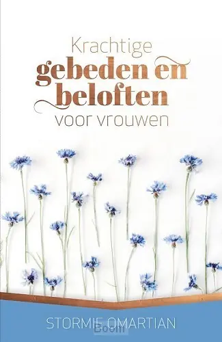 Rechtstreeks Van De Fabrikant Krachtige gebeden en beloften voor vrouw