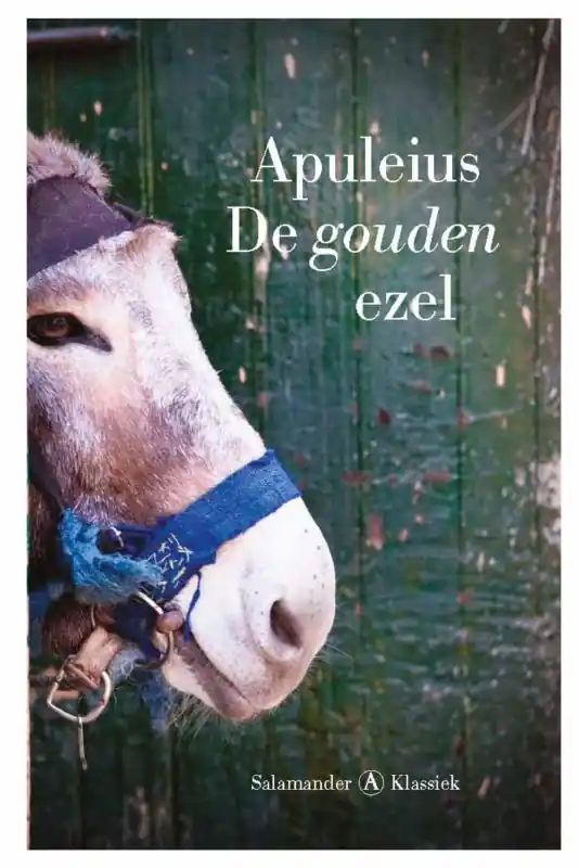 Meest Verkocht De gouden ezel - Apuleius