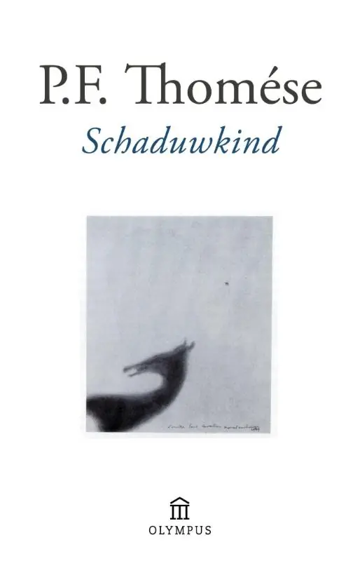Gratis Verzending Schaduwkind - P.F. Thomése