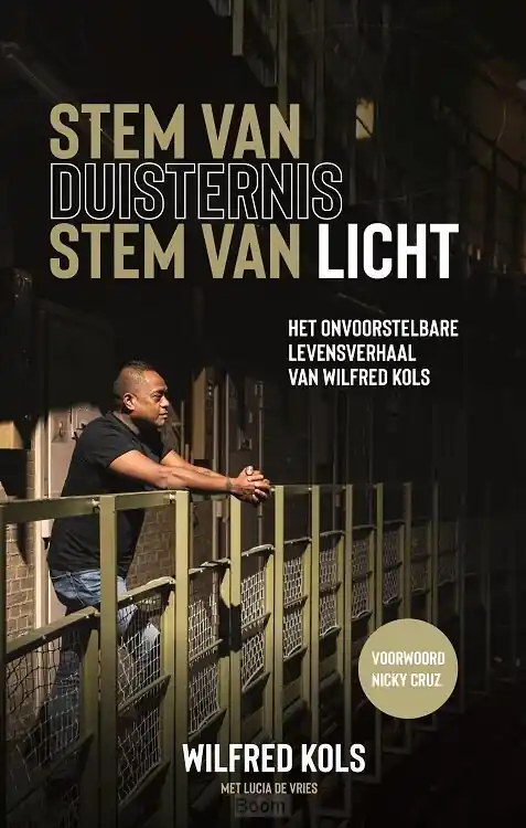 Voordeelprijs Stem van duisternis, stem van licht