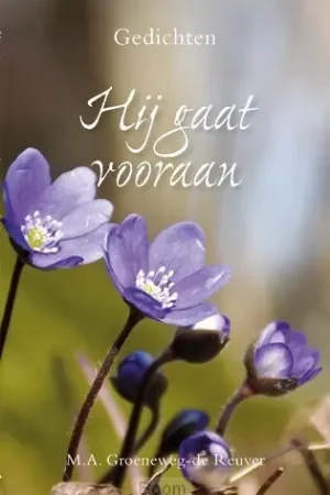Hij gaat vooraan Direct Verzonden