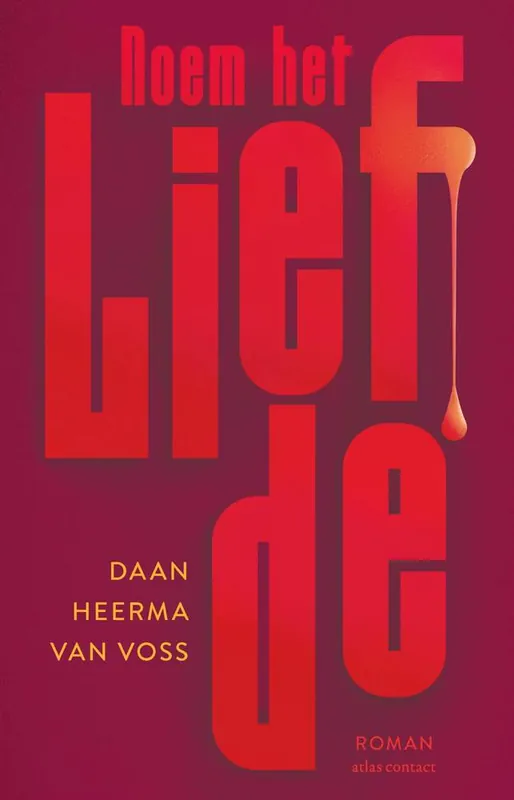 Dagaanbieding Noem het liefde / Druk 1