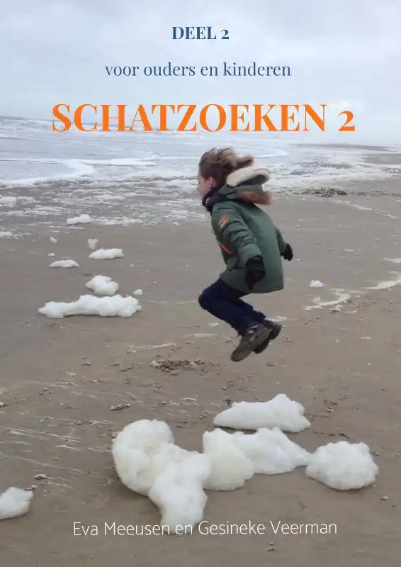 Direct Verzonden Schatzoeken 2 / Druk 1