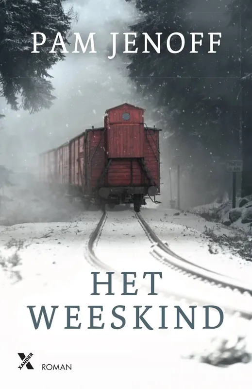 Het weeskind / Druk 1 Bestseller