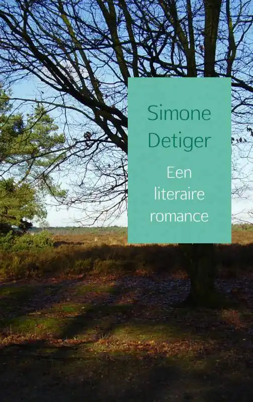 Een literaire romance / Druk 2 Tijdelijk Beschikbaar