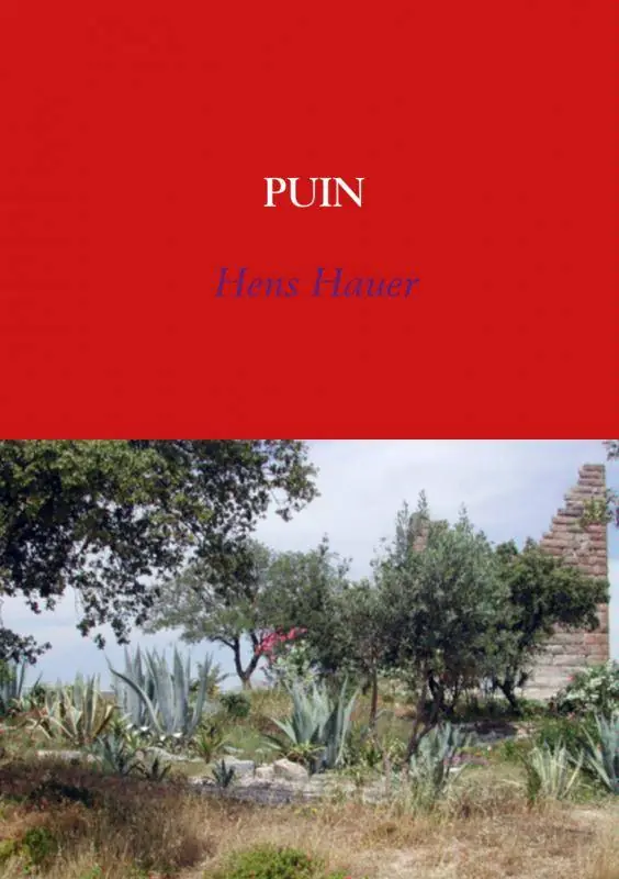 Puin / Druk 1 Aanbieding