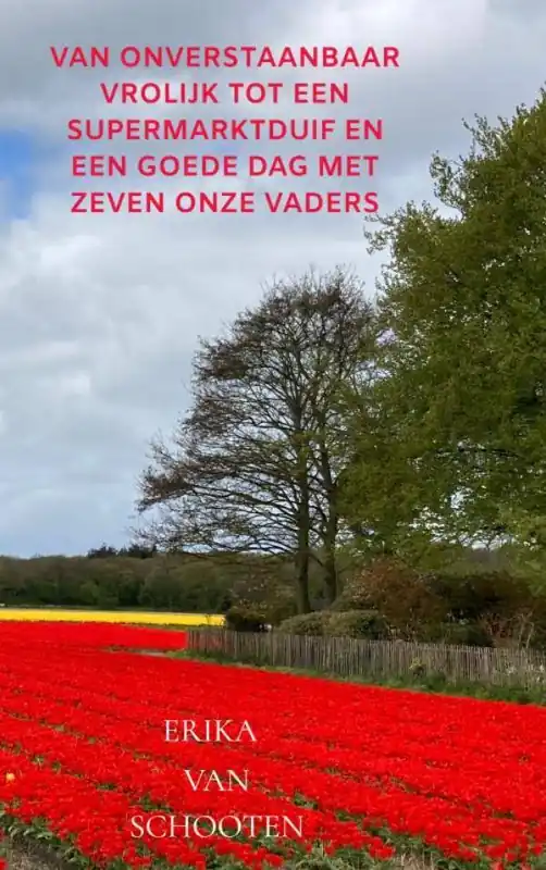 Van Onverstaanbaar vrolijk tot een Supermarktduif en een Goede dag met zeven Onze Vaders / Druk 1 Bestel Nu