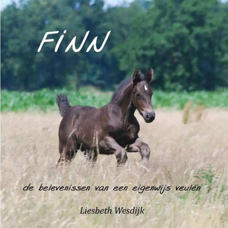 Nu Kopen Finn / Druk 1