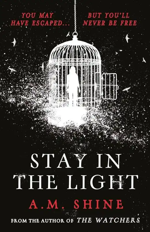 Laatste Versie Stay in the Light