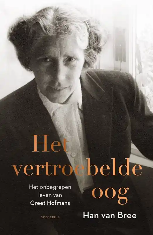Snelle Levering Het vertroebelde oog / Druk 2