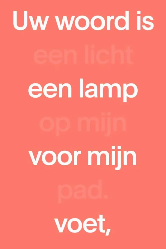 Voordeelprijs NBV21 Midsize Paperback / Druk 1
