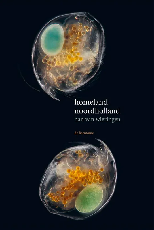Homeland Noordholland / Druk 1 Flitsaanbieding