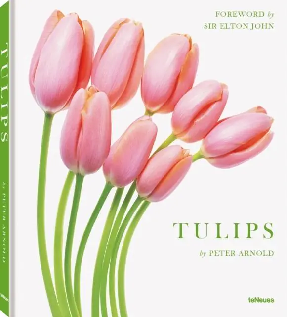 Koop Online Tulips