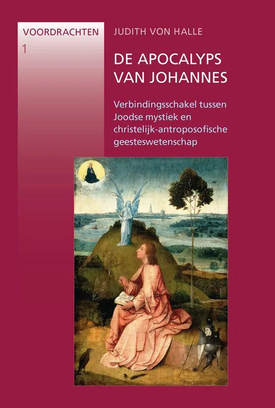 De Apocalyps van Johannes / Druk 1 Snelle Levering
