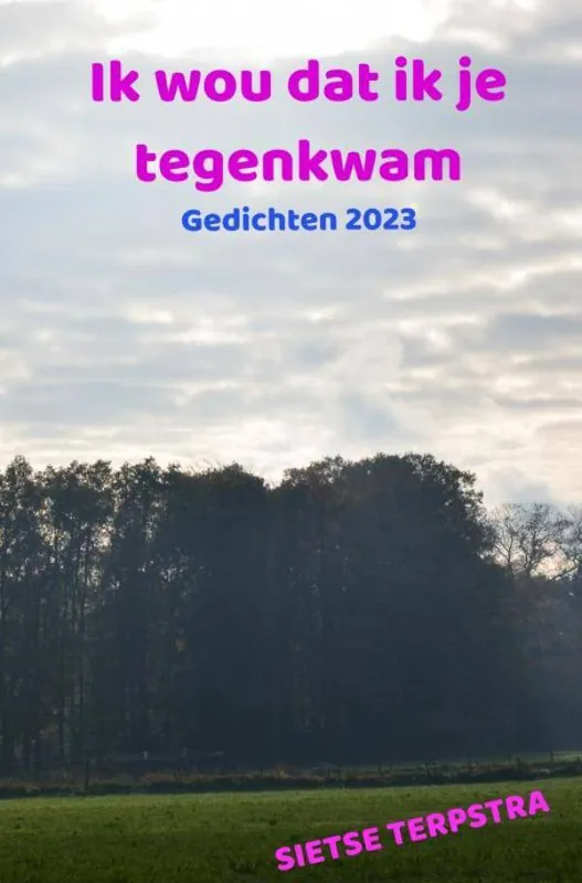 Express Levering Ik wou dat ik je tegenkwam / Druk 1