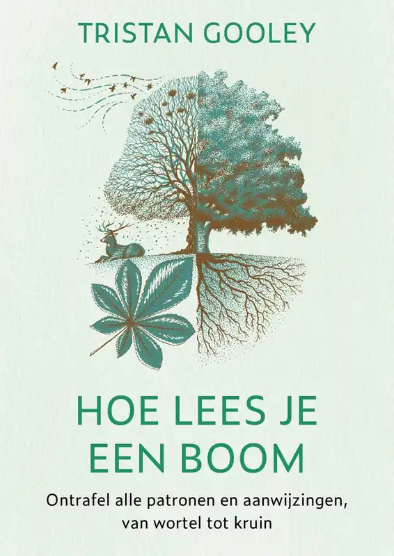 Hoe lees je een boom / Druk 3 Lage Prijs