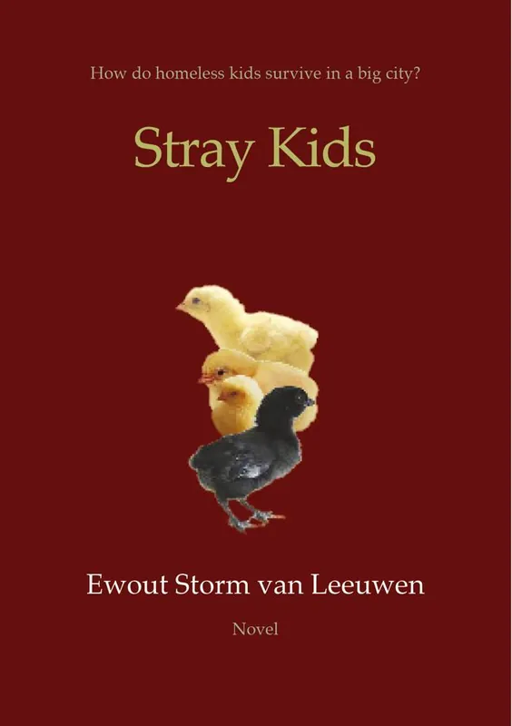 Flitsaanbieding Stray Kids / 1st Edition
