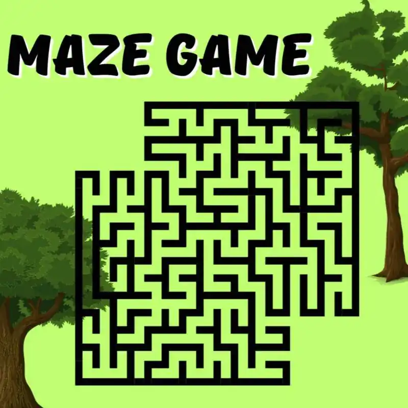 Maze Game Puzzel / Druk 1 Actieprijs