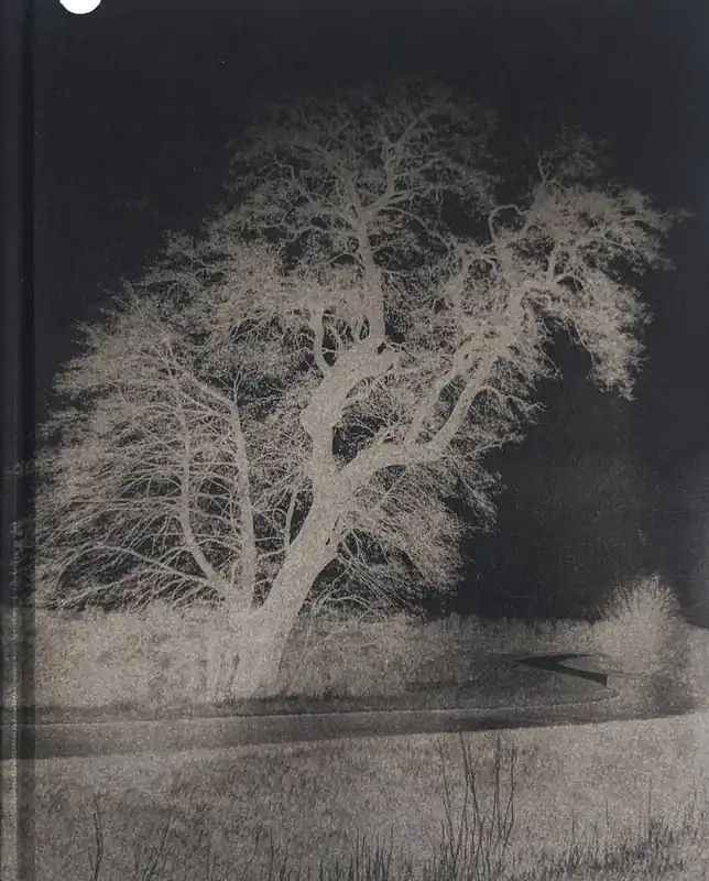 FELWA / 1st Edition Exclusieve Aanbieding