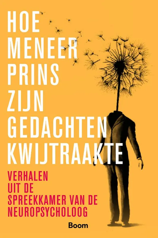 Hoe meneer Prins zijn gedachten kwijtraakte / Druk 1 Lage Prijs