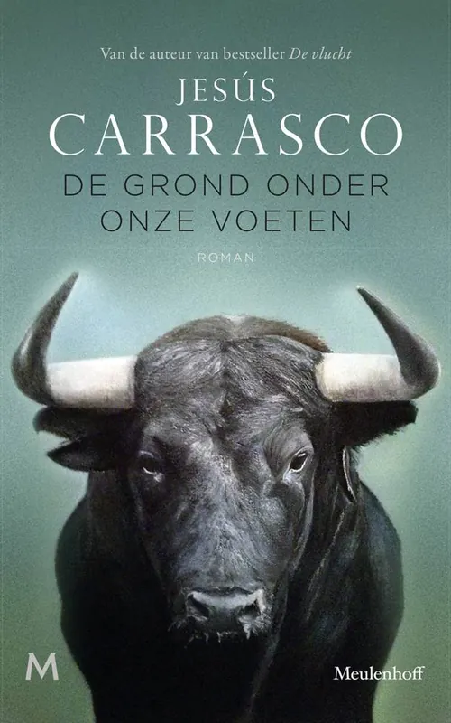Rechtstreeks Van De Fabrikant De grond onder onze voeten / Druk 1