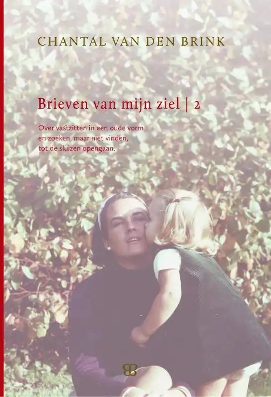 Tijdelijk Beschikbaar Brieven van mijn Ziel 2 / Druk 1