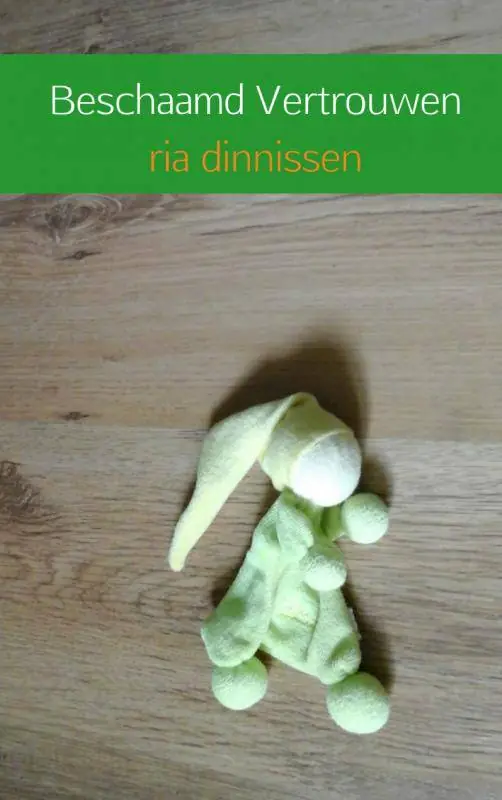 Beschaamd vertrouwen / Druk 1 Must-Have
