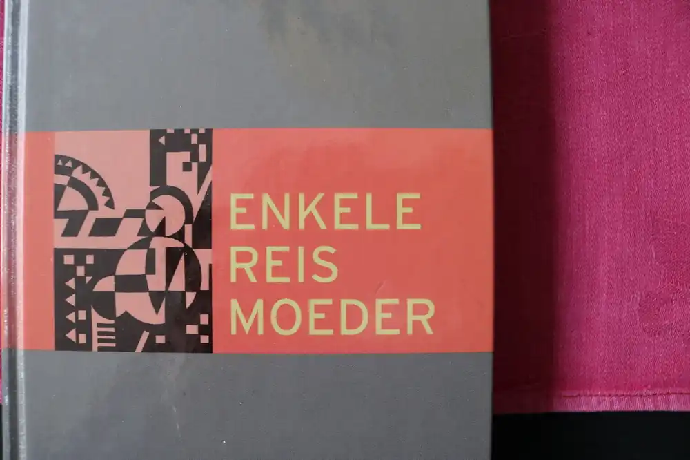 Enkele reis moeder - Bram Vermeulen Beste Prijs