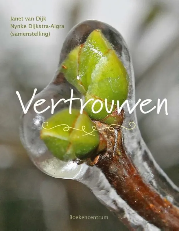 Flitsaanbieding Vertrouwen - Janet van Dijk; Nynke Dijkstra-Algra