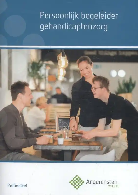 Bestseller Persoonlijk begeleider gehandicapten zorg - J. Bolt; T. Cremers; W. de Jong; V. Landsmeer-Dalm