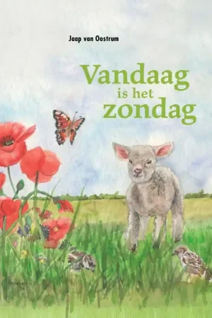 Vandaag is het zondag - Jaap van Oostrum Voordeelprijs