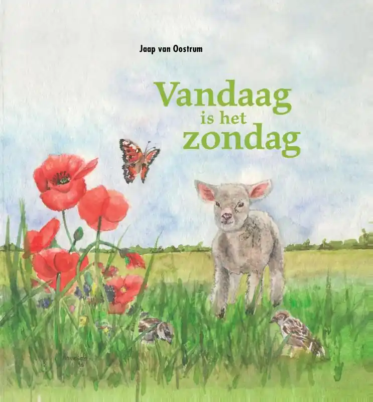Vandaag is het zondag - Jaap van Oostrum Voordeelprijs