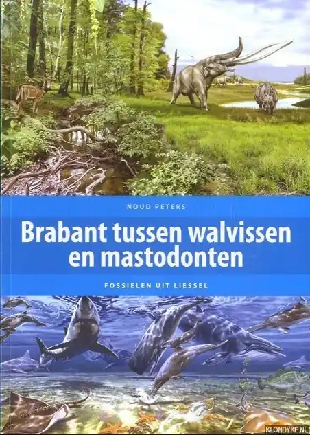 Tussen walvissen en mastodonte Fossielen uit Brabant - N. Peters Betaalbaar
