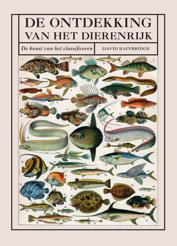 De ontdekking van het dierenrijk - David Bainbridge Gratis Verzending