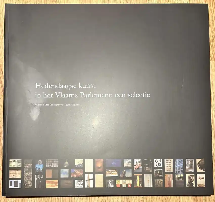 Hedendaagse kunst in het Vlaams Parlement - Vinckenroye, Wilfried Van Laatste Versie