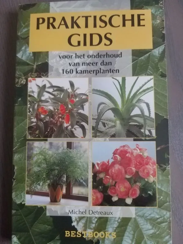 Praktische gids voor het onderhoud van kamerplanten - M. Detreaux Koopje