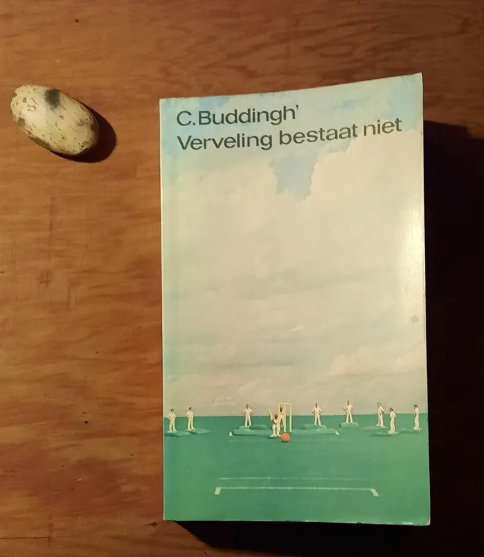Bestseller Verveling bestaat niet - C. Buddingh