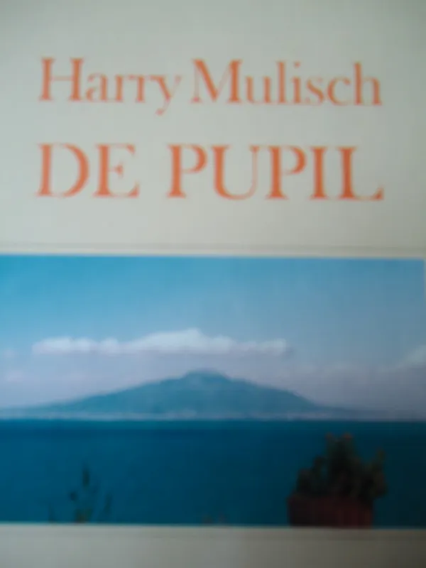 Favoriet De pupil - Harry Mulisch