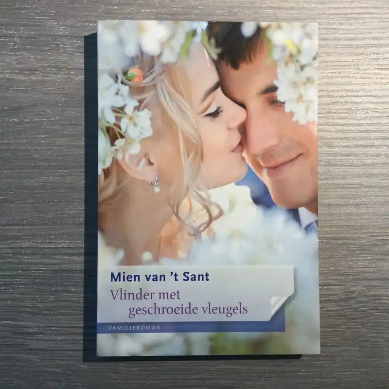 Vlinder met geschroeide vleugels - Mien van 't Sant Seizoensaanbieding