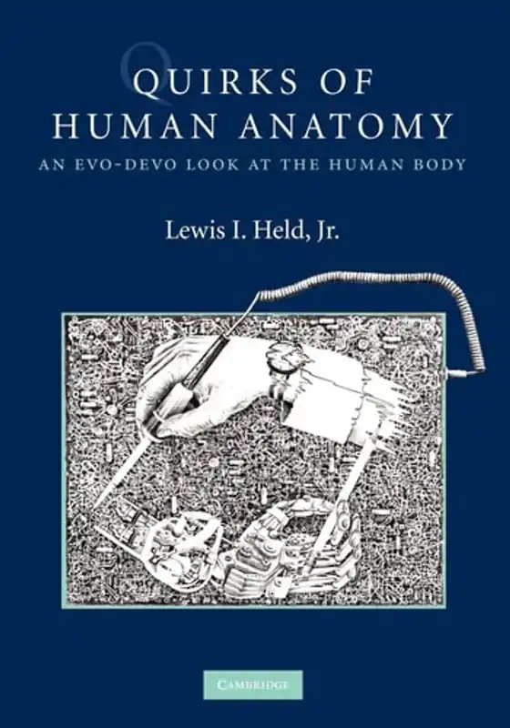 Tijdelijk Beschikbaar Quirks of Human Anatomy: An Evo-Devo Look at the Human Body - Lewis I. Held Jr