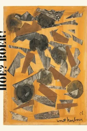 Wout Hoeboer 1910-1983 - Adriaan Gonnissen; Paolo Bolpagni; Simon Delobel Superprijs