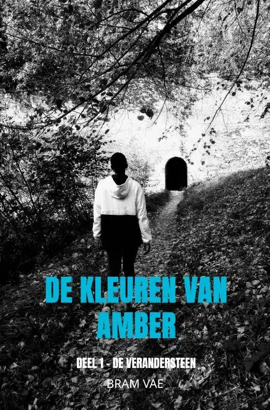 Shop Nu De kleuren van Amber / Druk 2