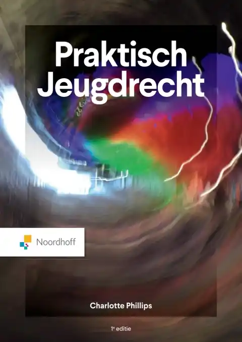 Hoge Kwaliteit Praktisch Jeugdrecht / Druk 1 (e-book)