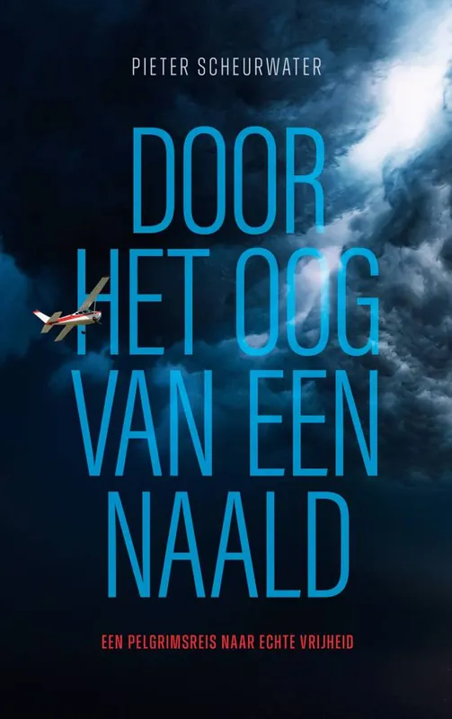 Fabrieksprijs Door het oog van een naald / Druk 1